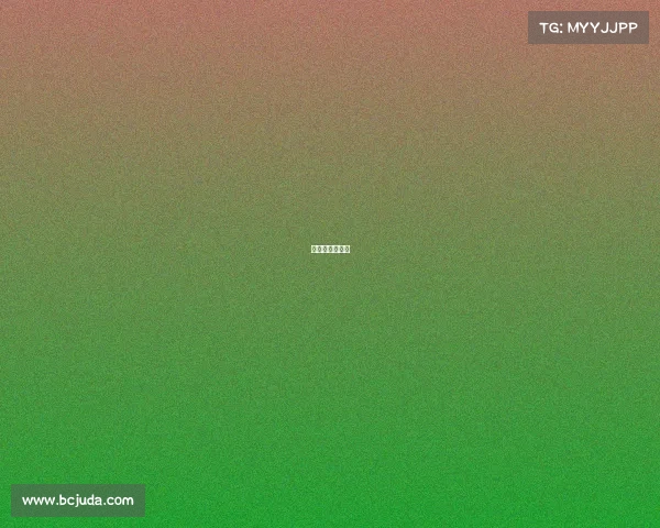 世界怀决赛视频