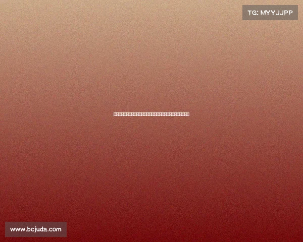 中国散打顶级赛事全景扫描年度争霸赛精彩瞬间与武术文化深度交融