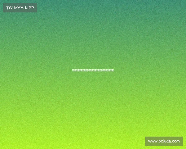 聚焦卡塔尔国际赛事盛大舞台体育精神闪耀全球连接世界心灵