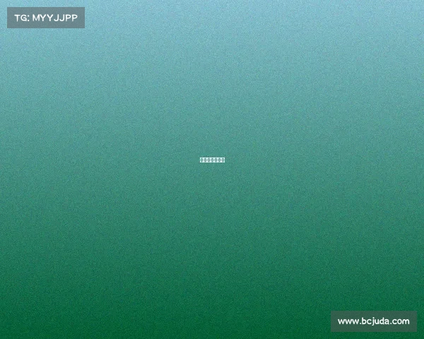 世界杯锦集视频