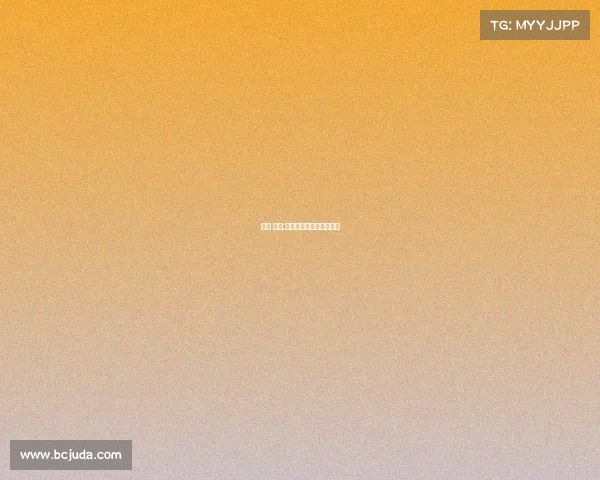 散打 赛事;散打赛事全程回放完整版